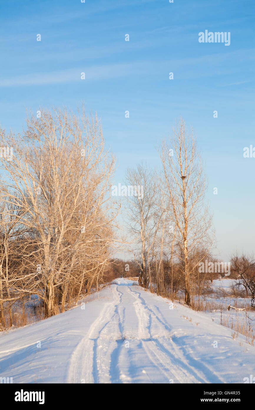 morning in winter Stock Photo - Alamy
