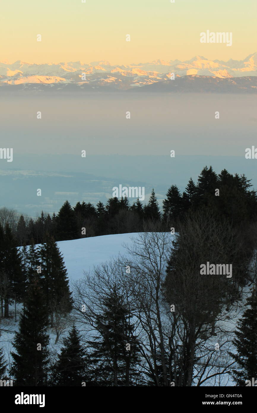 Frezzing fog hi-res stock photography and images - Alamy