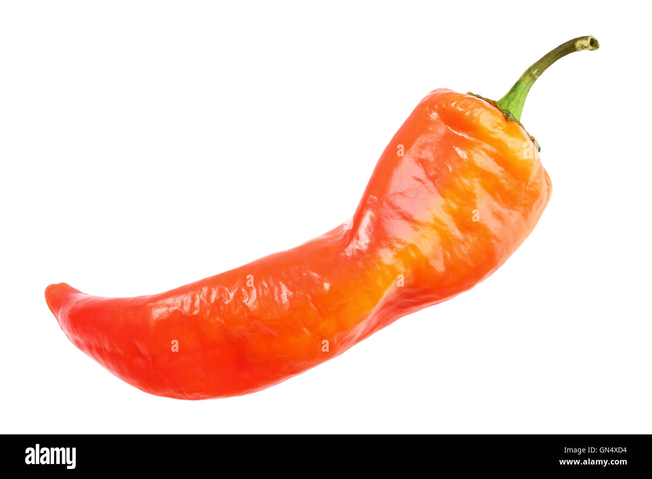 Single red chilli pepper Cut Out Stock Images & Pictures Alamy