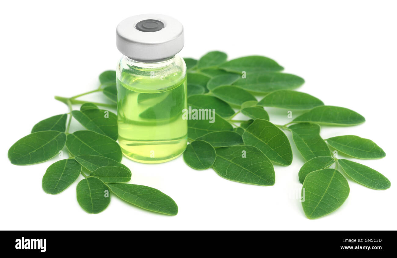 Moringa leaves with extract in a vial over white background Stock Photo
