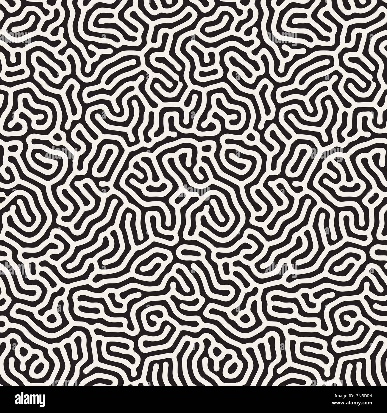 Vector Seamless Black and White Organic Rounded Lines Maze Coral ...