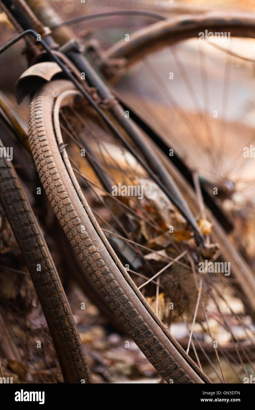 old bicycle wheel Stock Photo Alamy