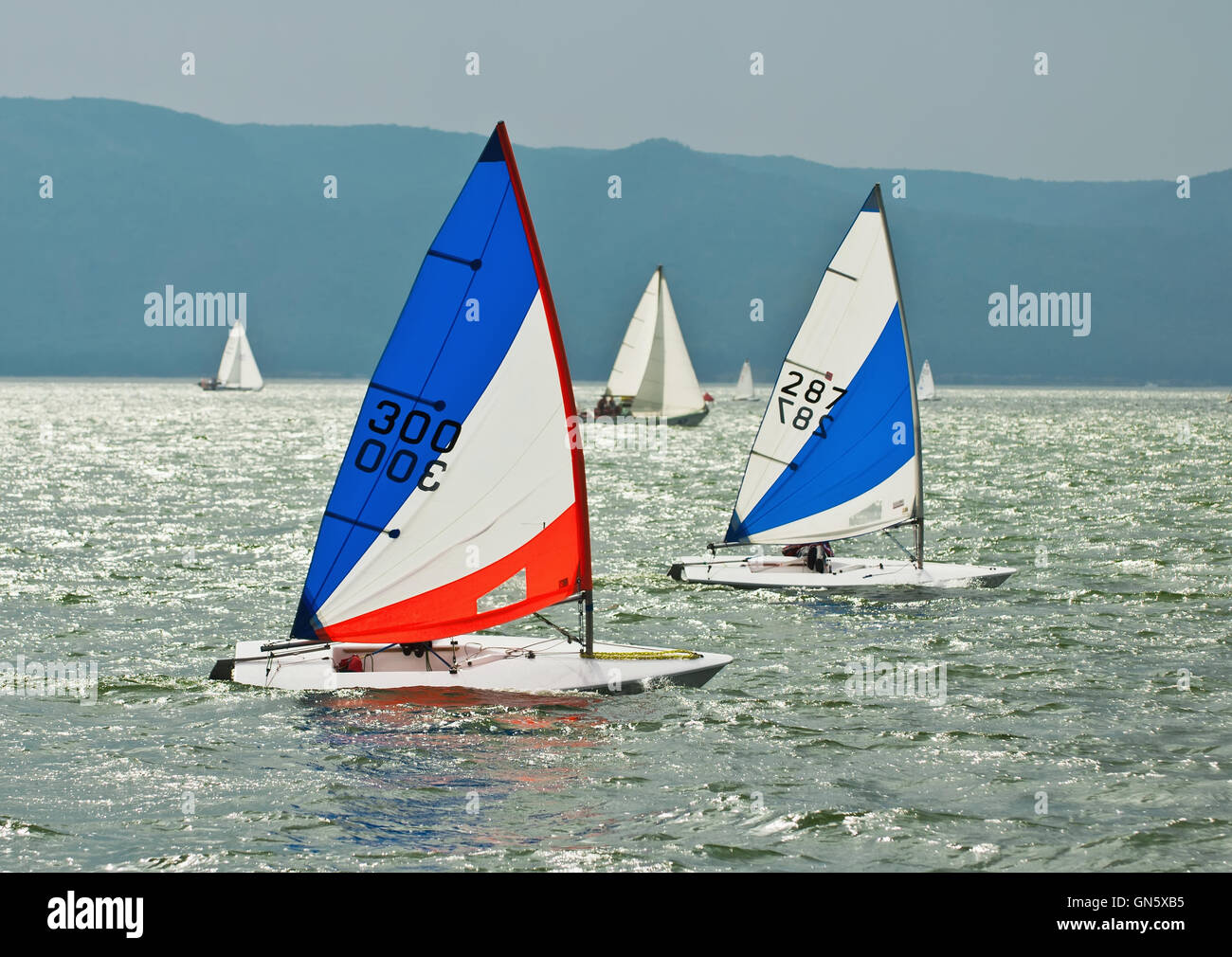 The yacht takes part in competitions in sailing Stock Photo - Alamy