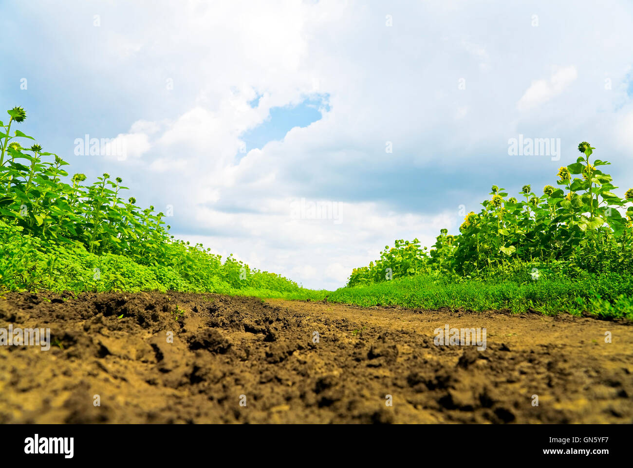 Clods farm hi-res stock photography and images - Alamy