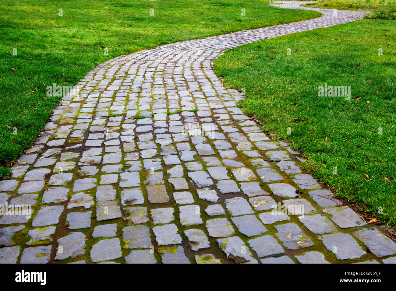 Curvy Brick Path in grass Stock Photo - Alamy