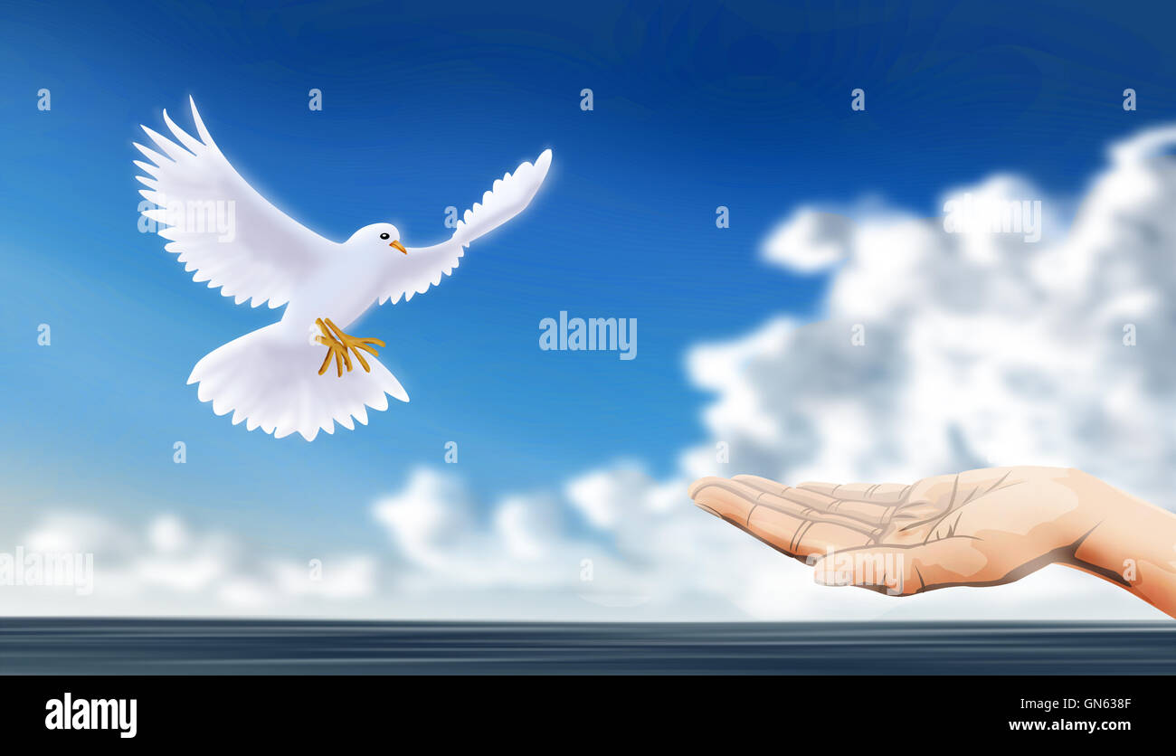 release or welcome dove, as peaceful sign Stock Photo