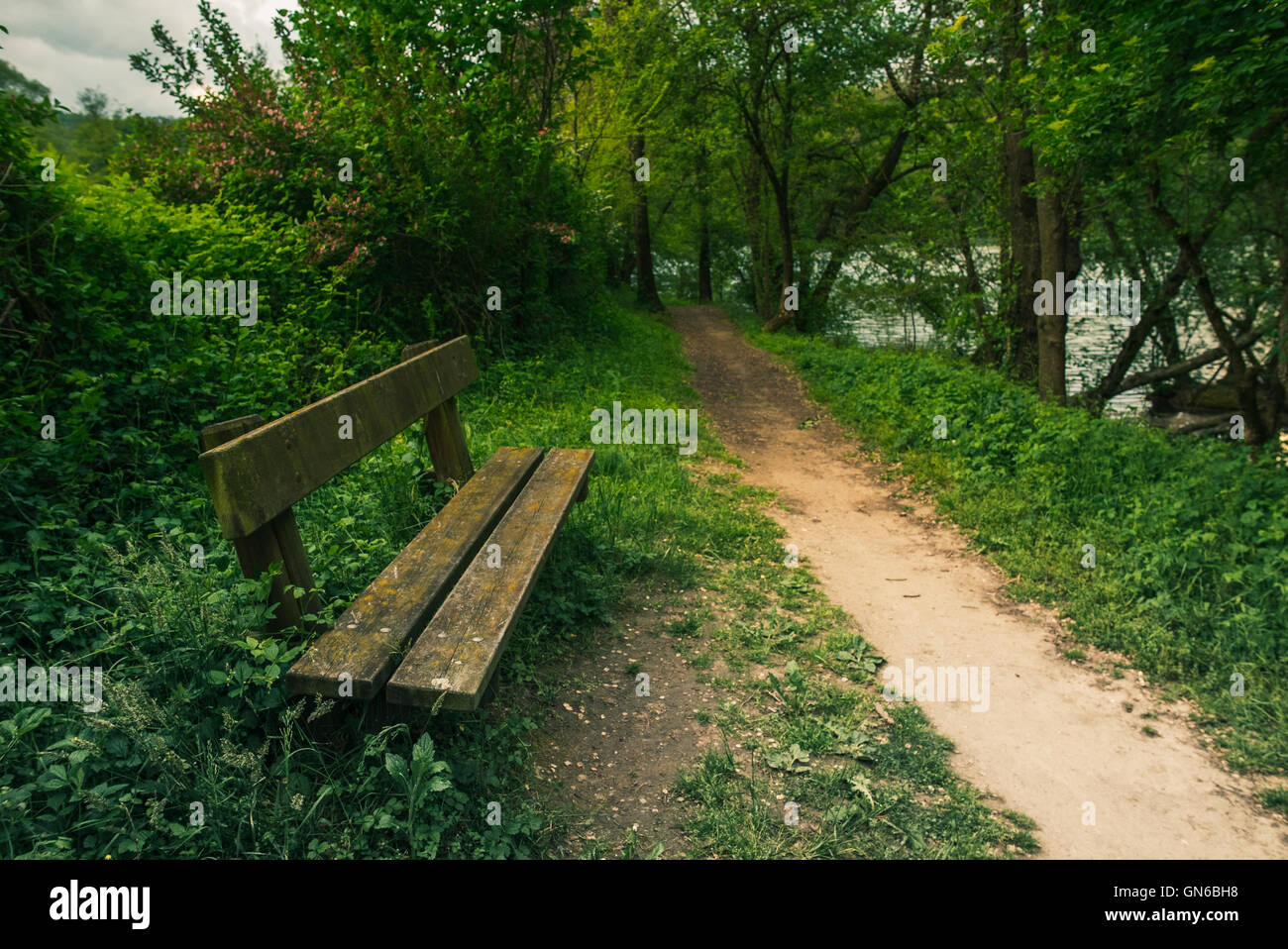 Bench and path in a green park Stock Photo - Alamy