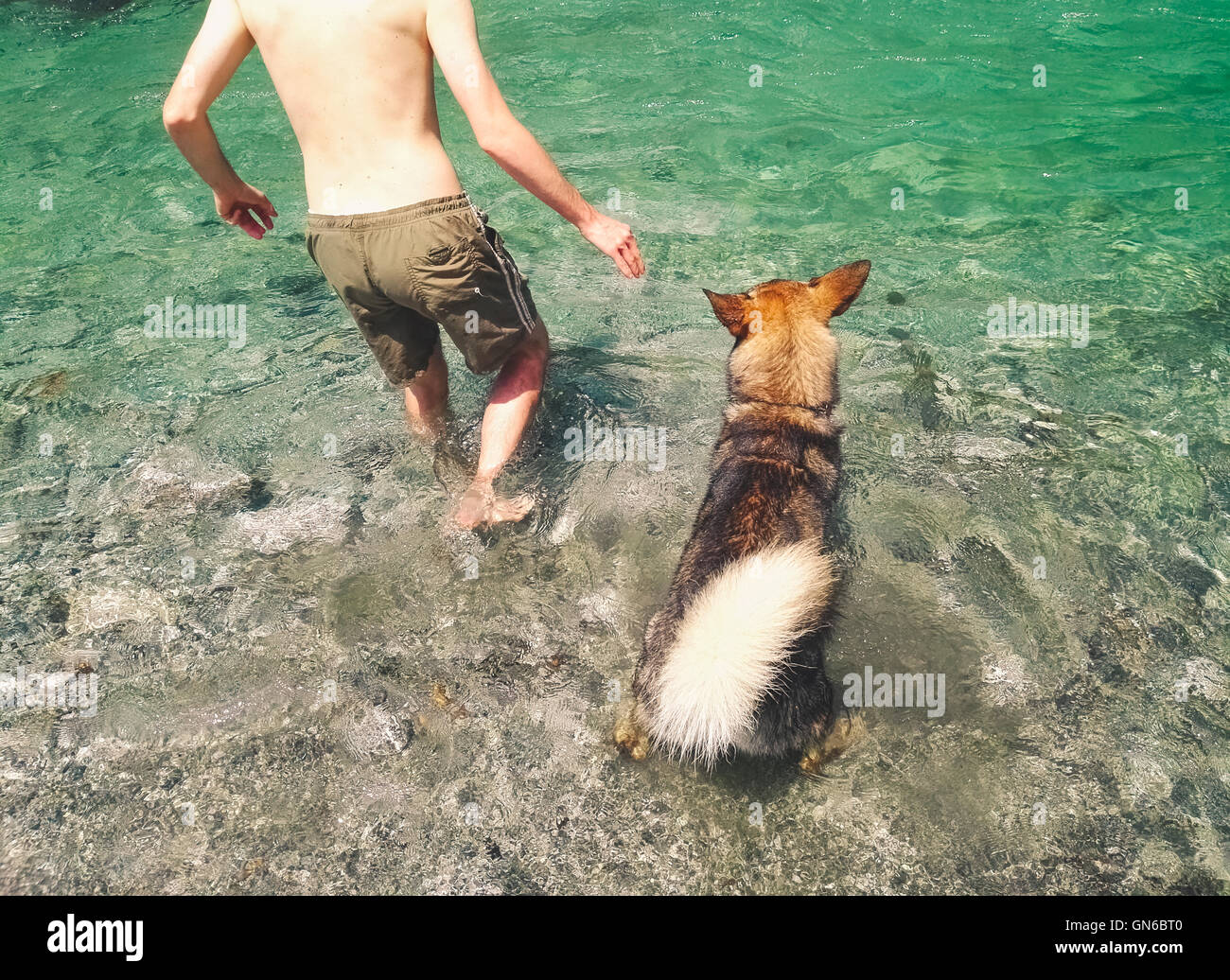 Man and dog entering into the waters Stock Photo
