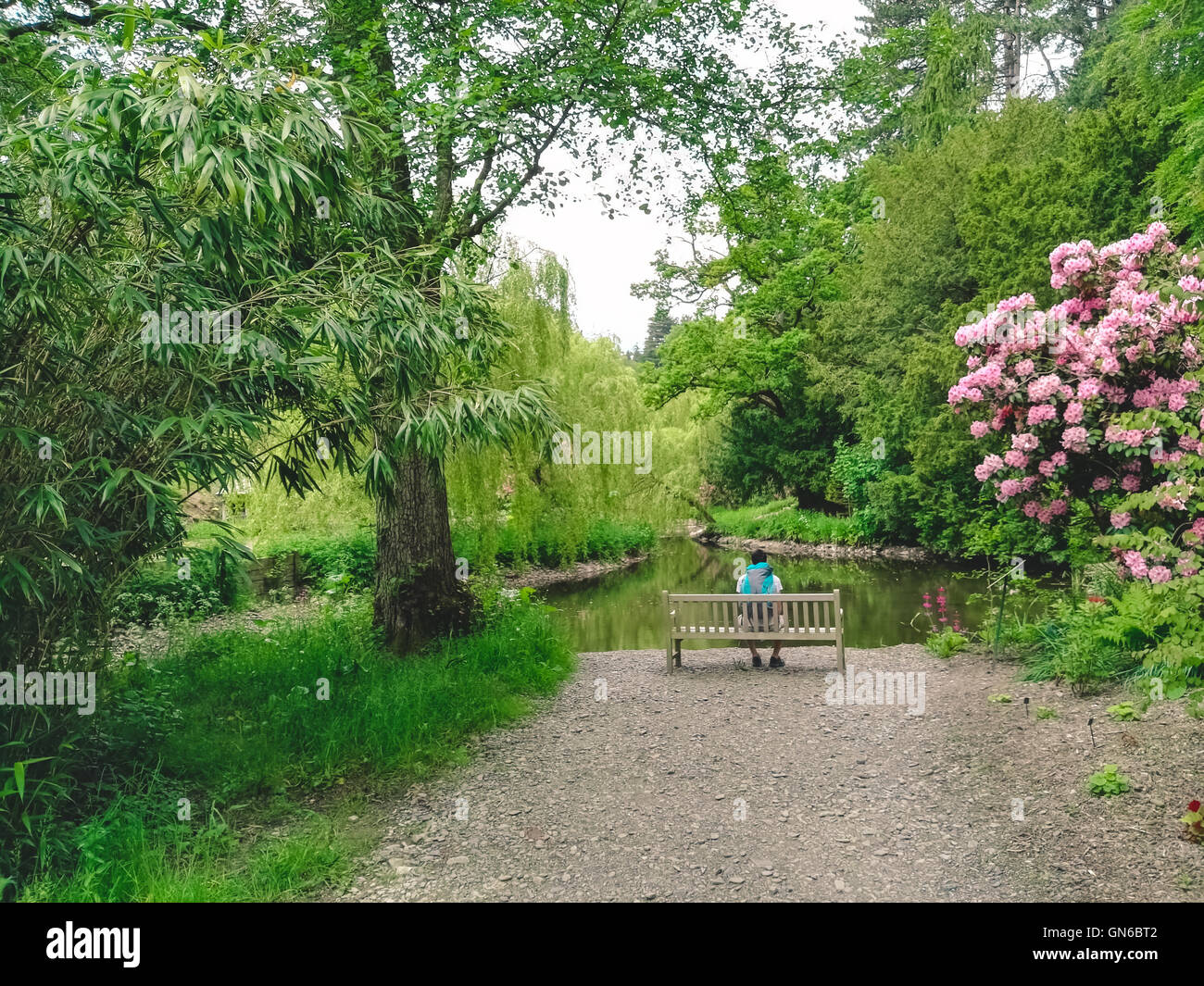 Man sitting bench hi-res stock photography and images - Alamy