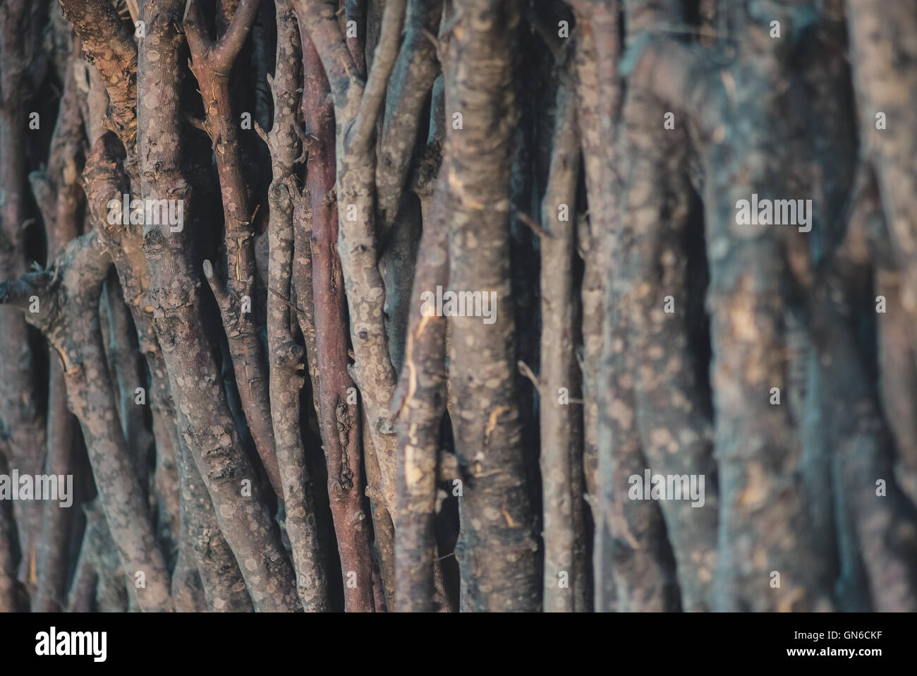 Pieces of wood Stock Photo Alamy