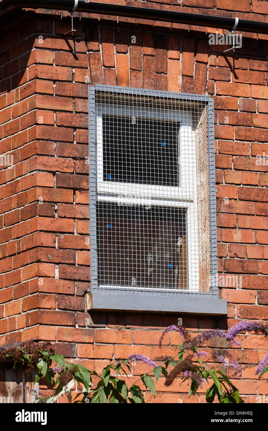 protective metal screen over window Stock Photo