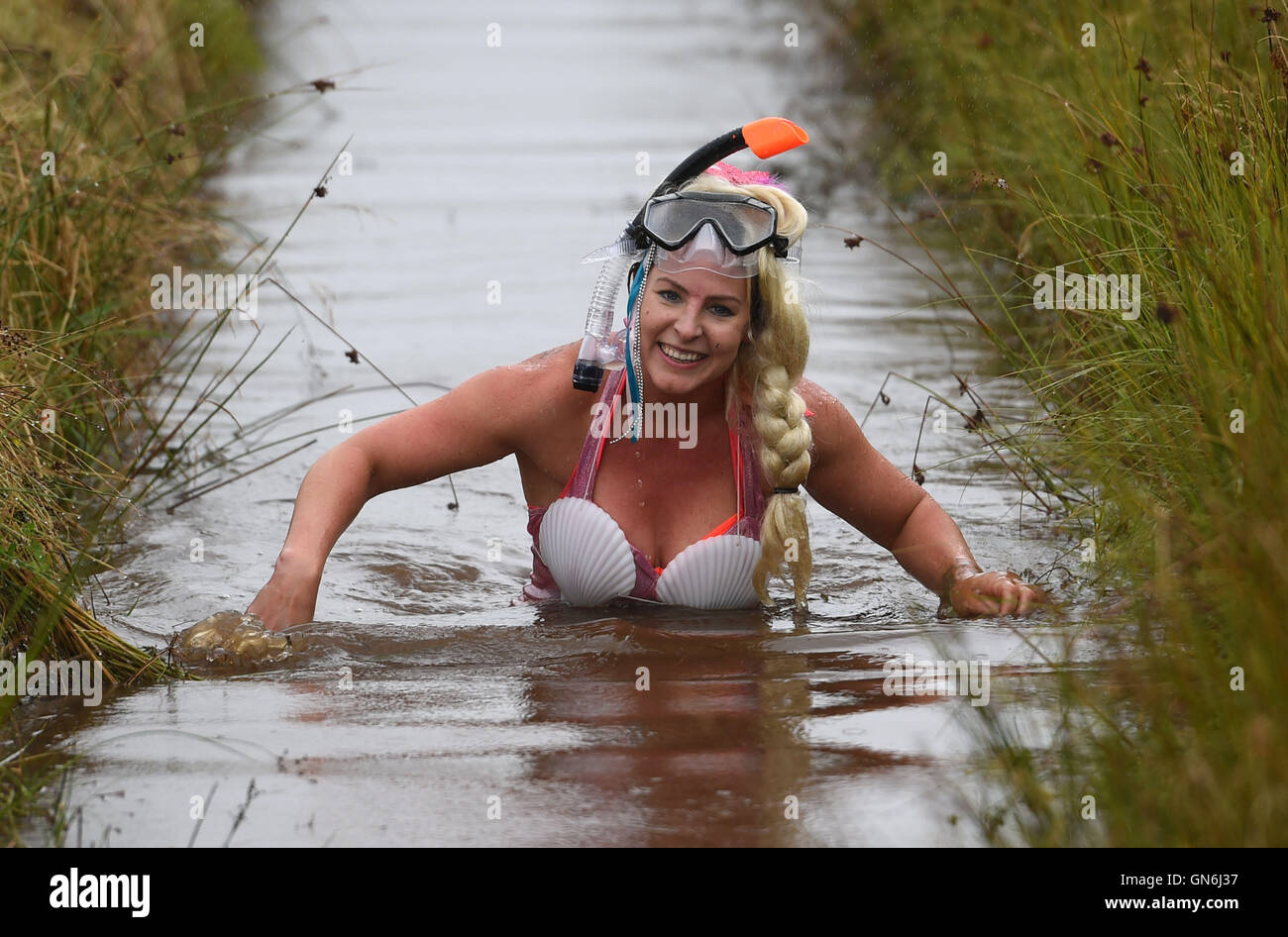 A woman dressed as a mermaid takes part in the 30th World Bog Snorkelling Championships at Waen Rhydd peat bog in Llanwrtyd Wells Wales Stock Photo Alamy
