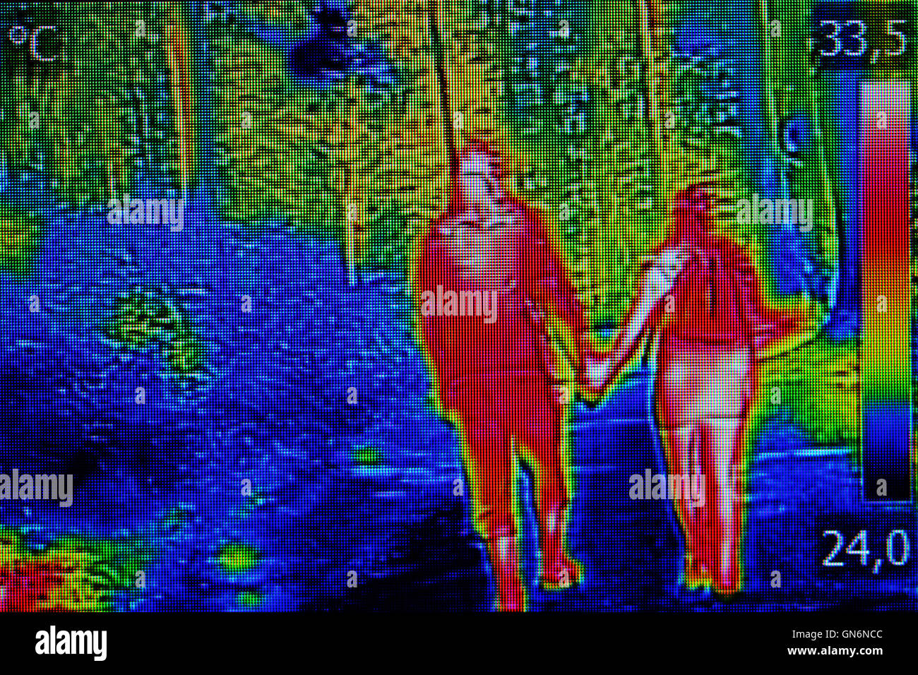 Thermal imaging people hires stock photography and images Alamy