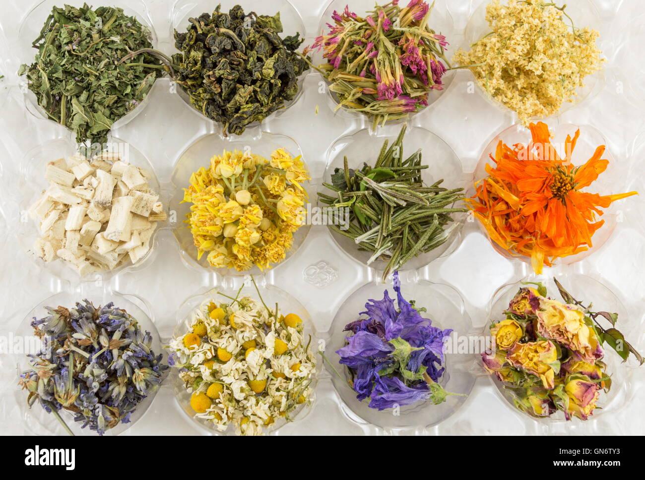 Various dried plants for making a perfect tea Stock Photo