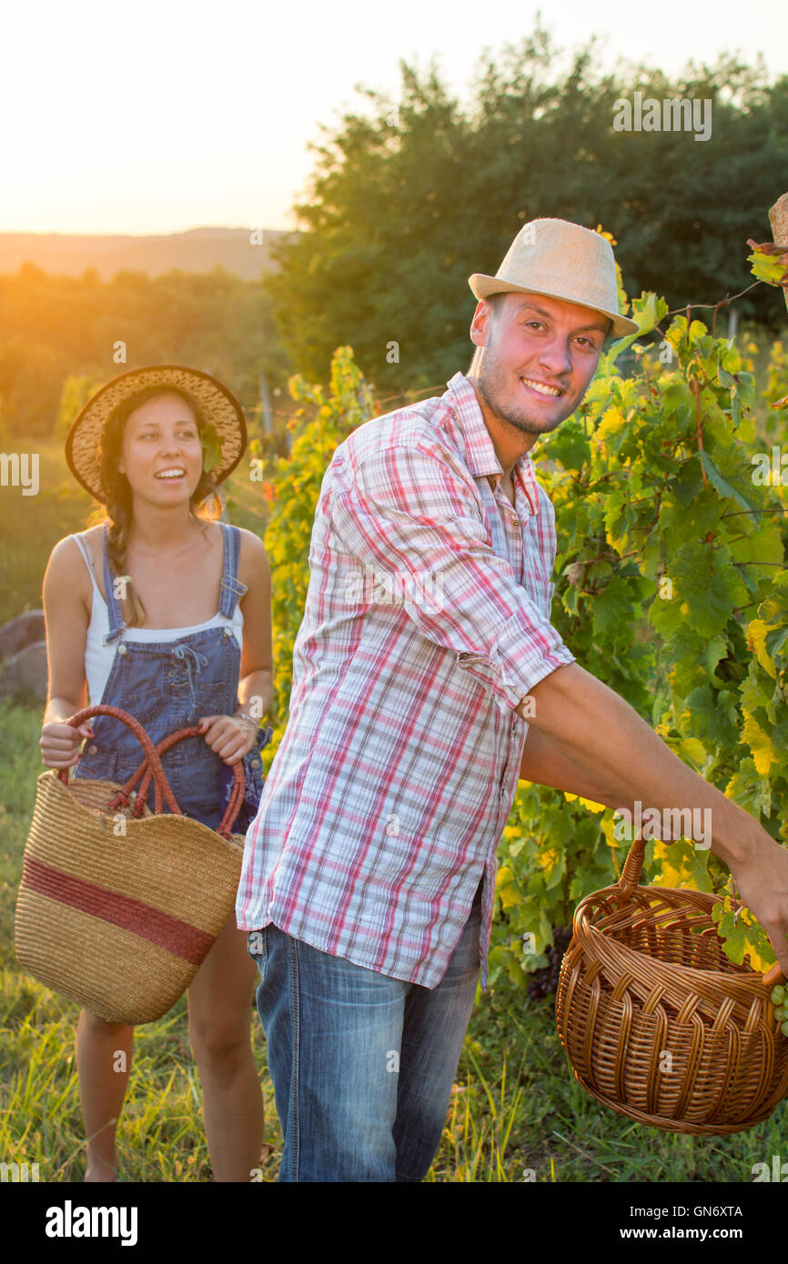 Couple in grape picking at the vineyard holding a basket Stock Photo