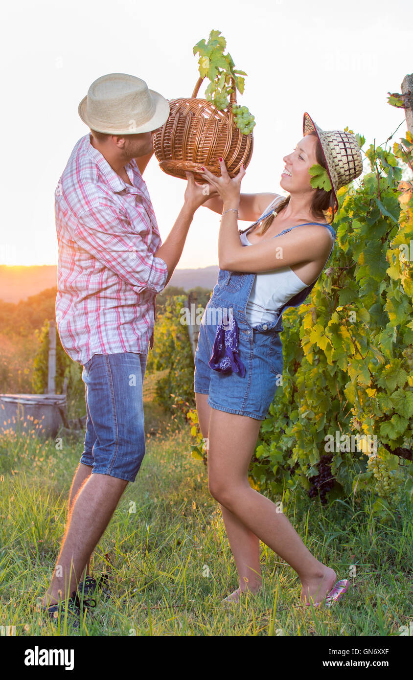Couple in grape picking at the vineyard holding a basket Stock Photo