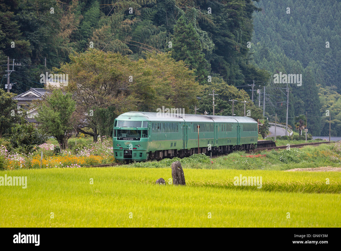 The Yufu no Mori Train Running in the Countryside, Yufu, Japan Stock Photo