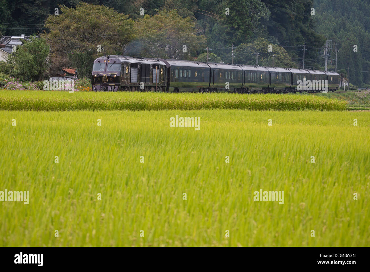 Seven Stars Train Running in the Countryside, Yufu, Japan Stock Photo
