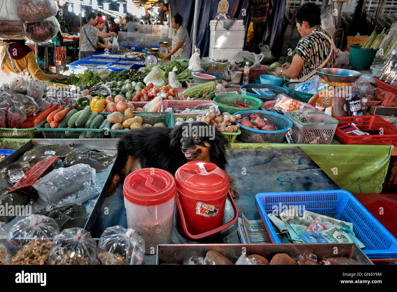 Unhygienic practice. Thailand's lack of health and hygiene standards