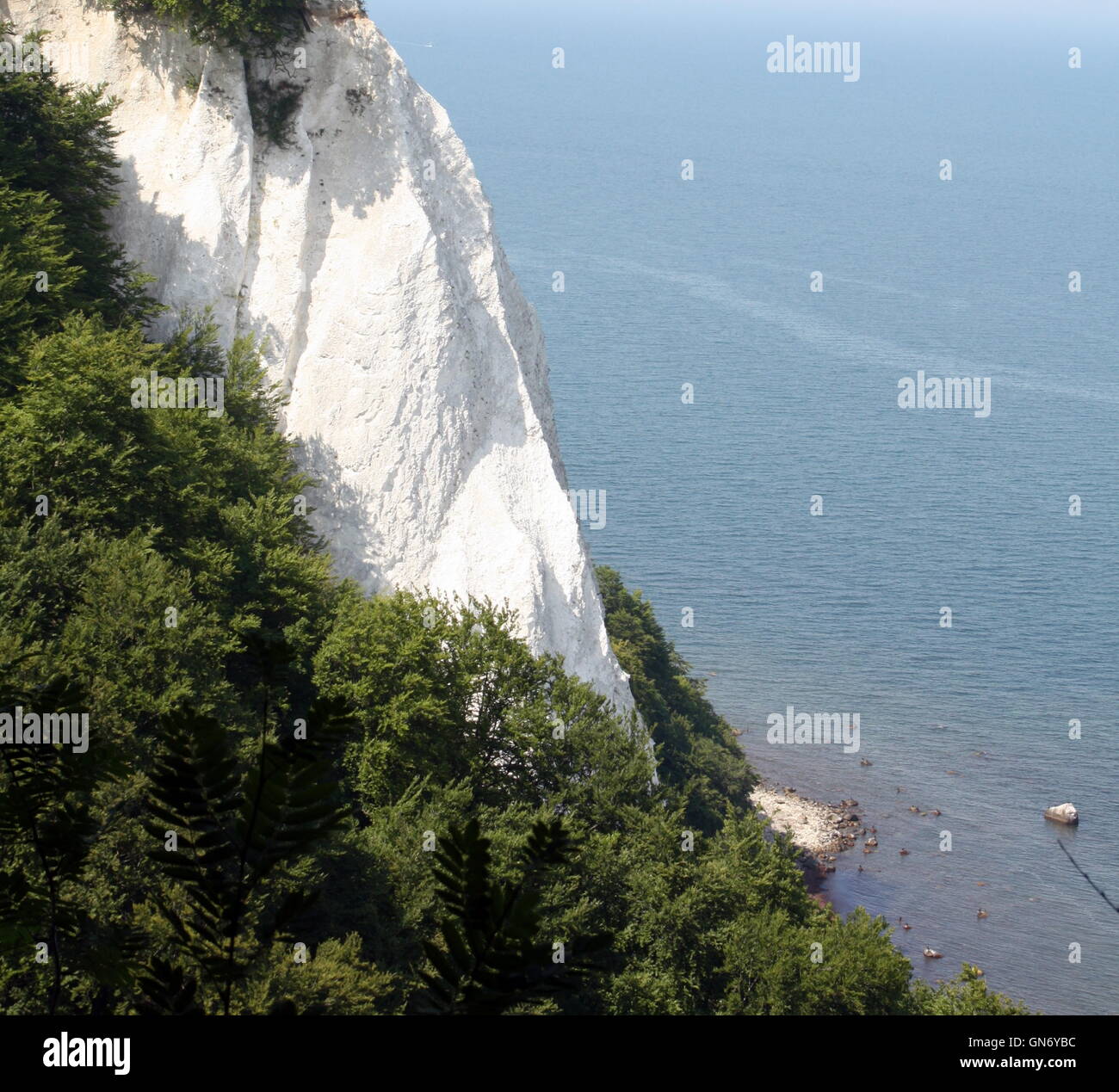 High chalk cliffs Stock Photo Alamy