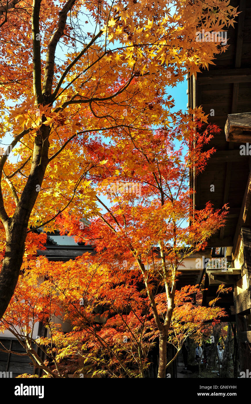 Yufu hires stock photography and images Alamy