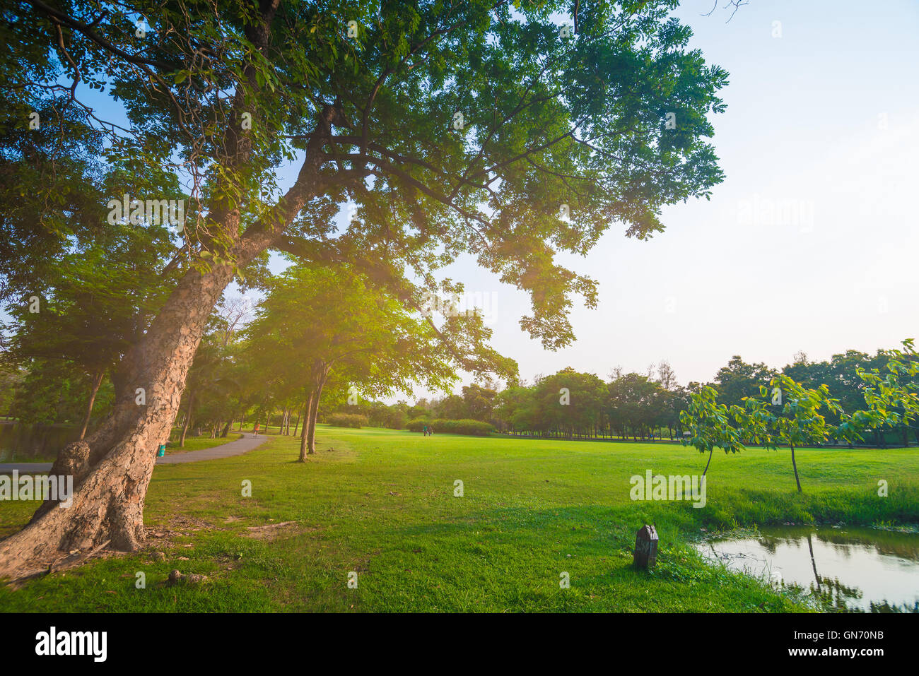 Lawn park park sun hi-res stock photography and images - Alamy
