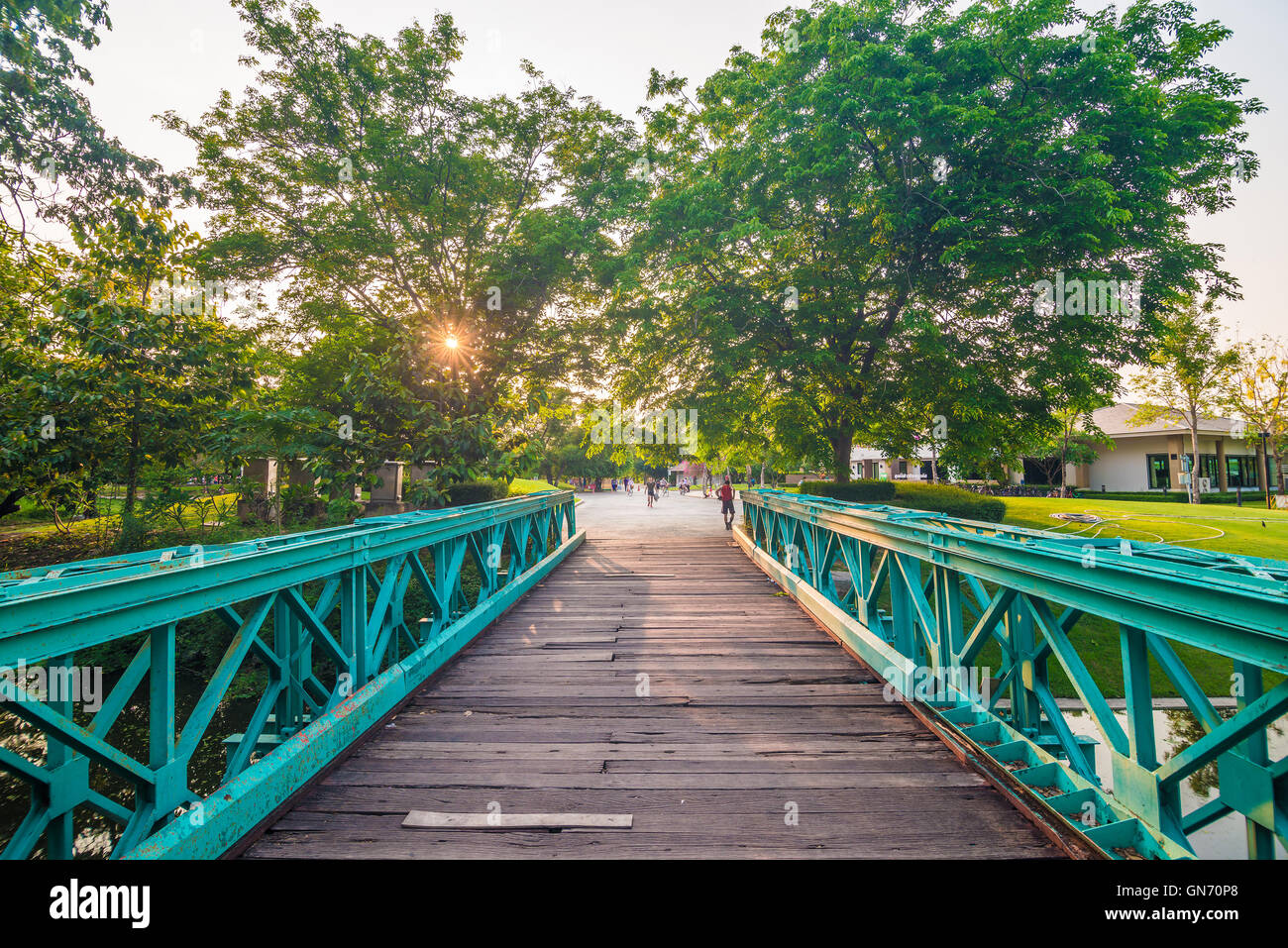Pedestrian walkway for exercise in park with beautiful tall trees Stock ...