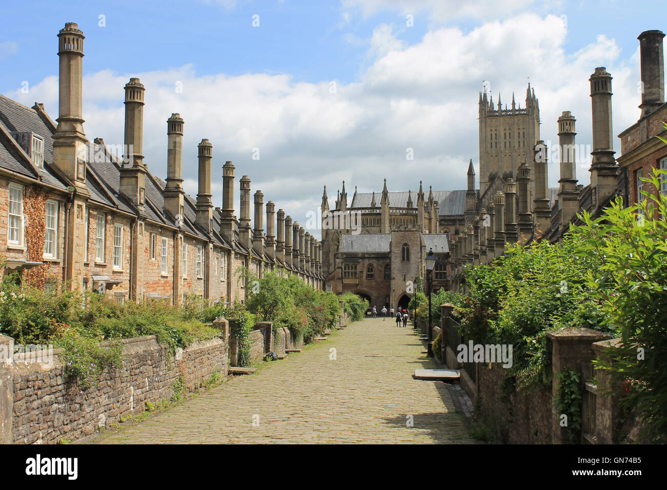 Vicars Close, east side view of this medieval cobbled street looking south towards the cathedral, Wells, Somerset, England, UK Stock Photo