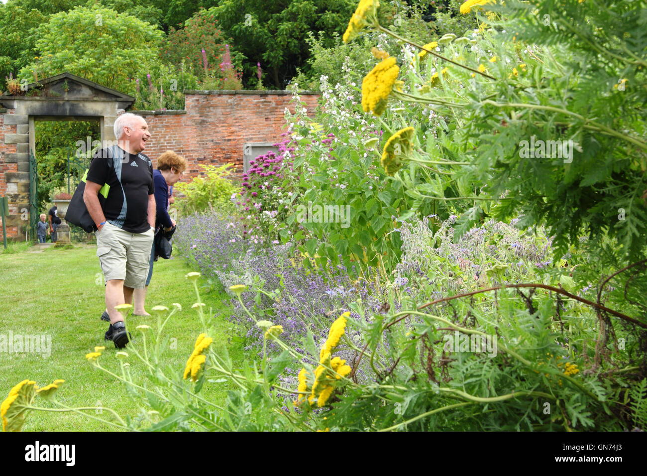 A herbaceous border in full bloom at Wortley Hall Walled Garden day during an open day event, Sheffield, Yorkshire UK Stock Photo