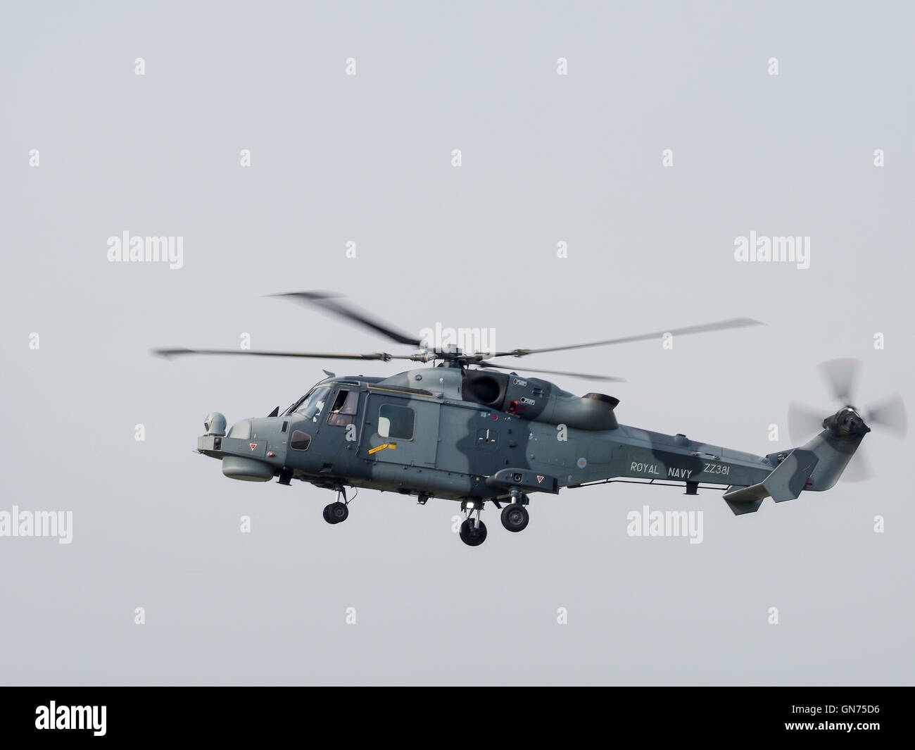 Royal Navy Black Cat Helicopter Display Team Stock Photo Alamy