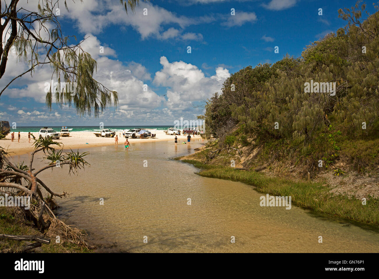 Group of four wheel drive vehicles & people on sandy beach beside Eli Creek with others wading in shallow water on Fraser Island Stock Photo