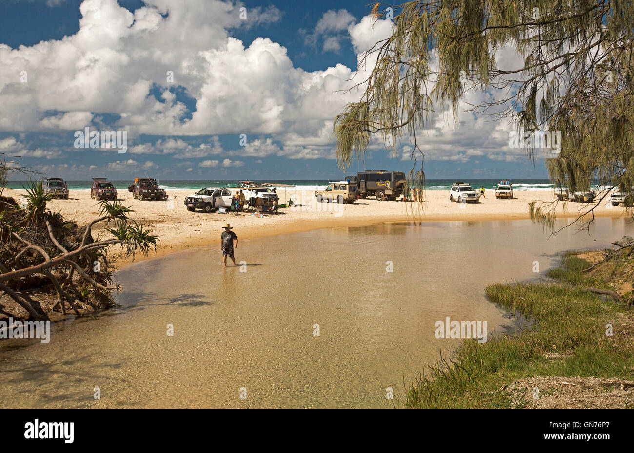 Group of four wheel drive vehicles & people on sandy beach beside Eli Creek, with man wading in shallow water on Fraser Island Stock Photo