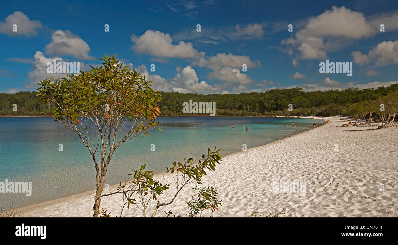 Lake Mackenzie with group of tourists on white sandy beach beside turquoise water hemmed by forests under blue sky Fraser Island Stock Photo