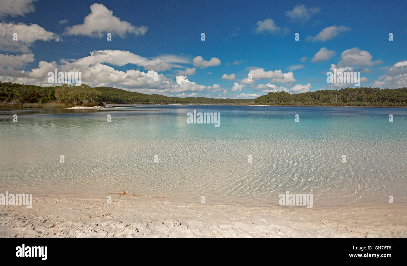 Calm turquoise blue waters & deserted white sandy beach of Lake Mackenzie hemmed by forests & under blue sky on Fraser Island Stock Photo