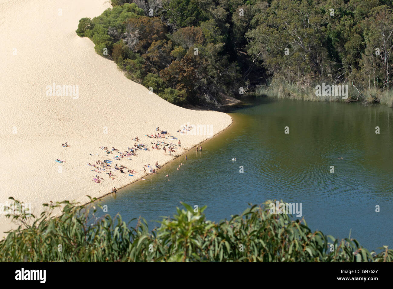 Crowd of tourists relaxing on sand of Hammerstone sandblow and swimming in dark waters of Lake Wabby on Fraser Island Australia Stock Photo
