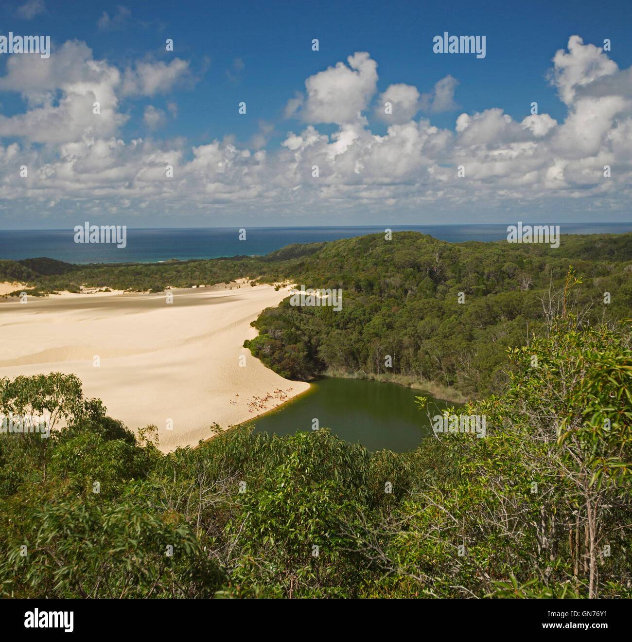 Lake Wabby at foot of Hammerstone sandblow & surrounded by dense forests with blue ocean in distance, on Fraser Island Australia Stock Photo