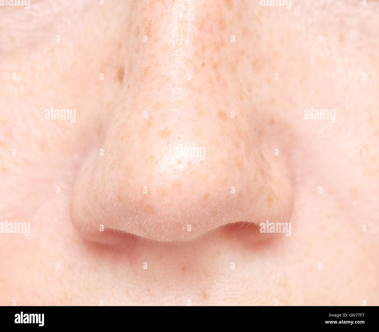 close up shot of human nose Stock Photo