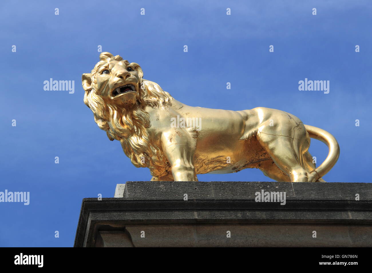 Golden Lion, West Stand, Twickenham Stadium, Greater London, England, Great Britain, United Kingdom UK, Europe Stock Photo