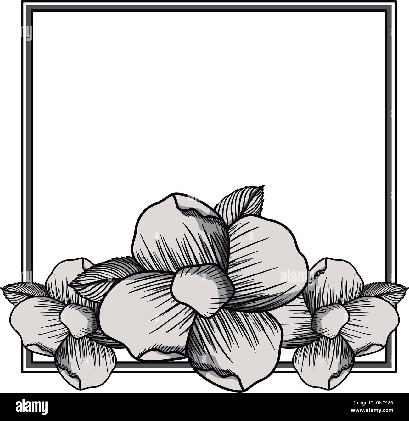 elegant frame with floral decoration Stock Vector Image & Art - Alamy