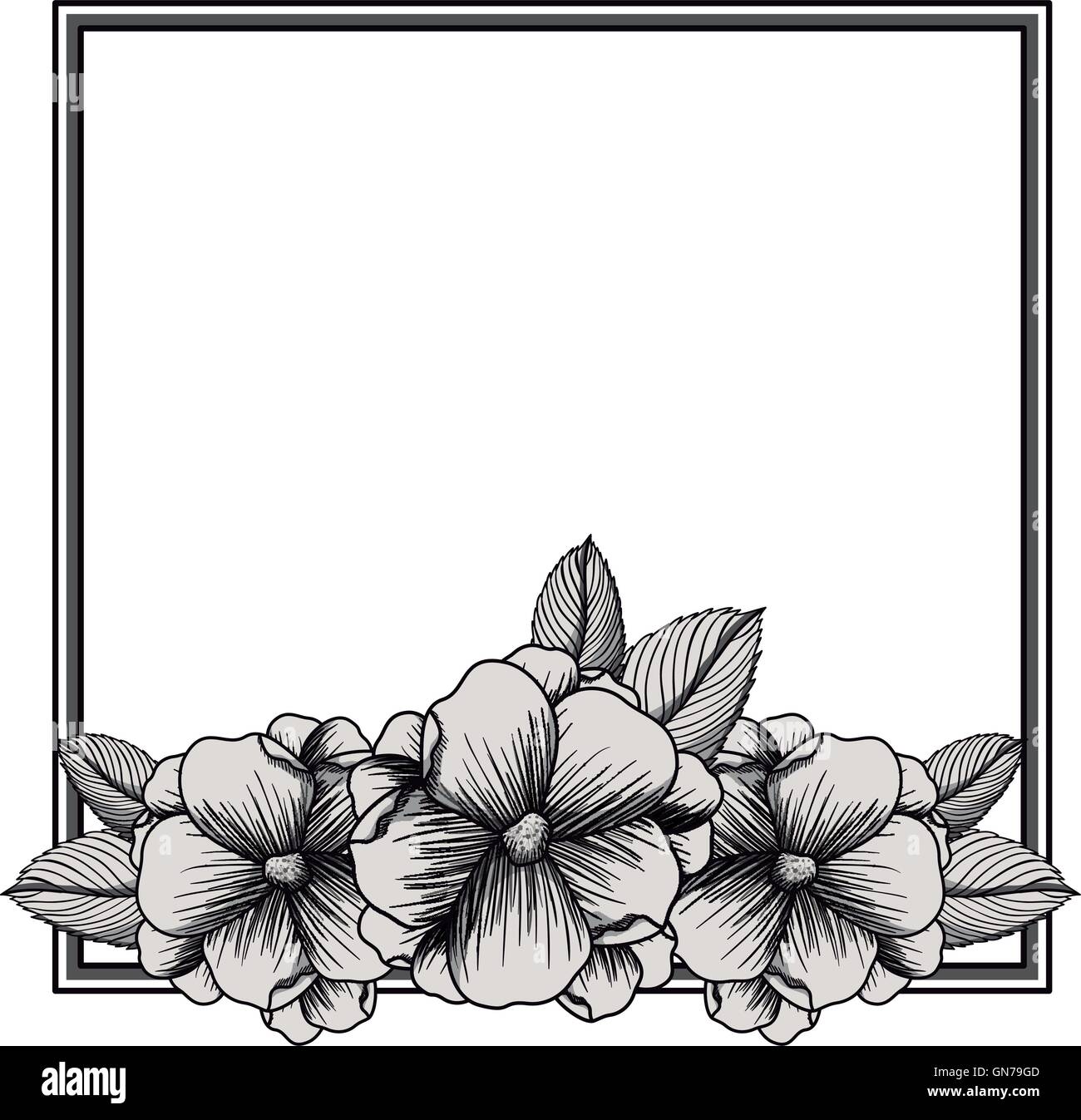 elegant frame with floral decoration Stock Vector Image & Art - Alamy