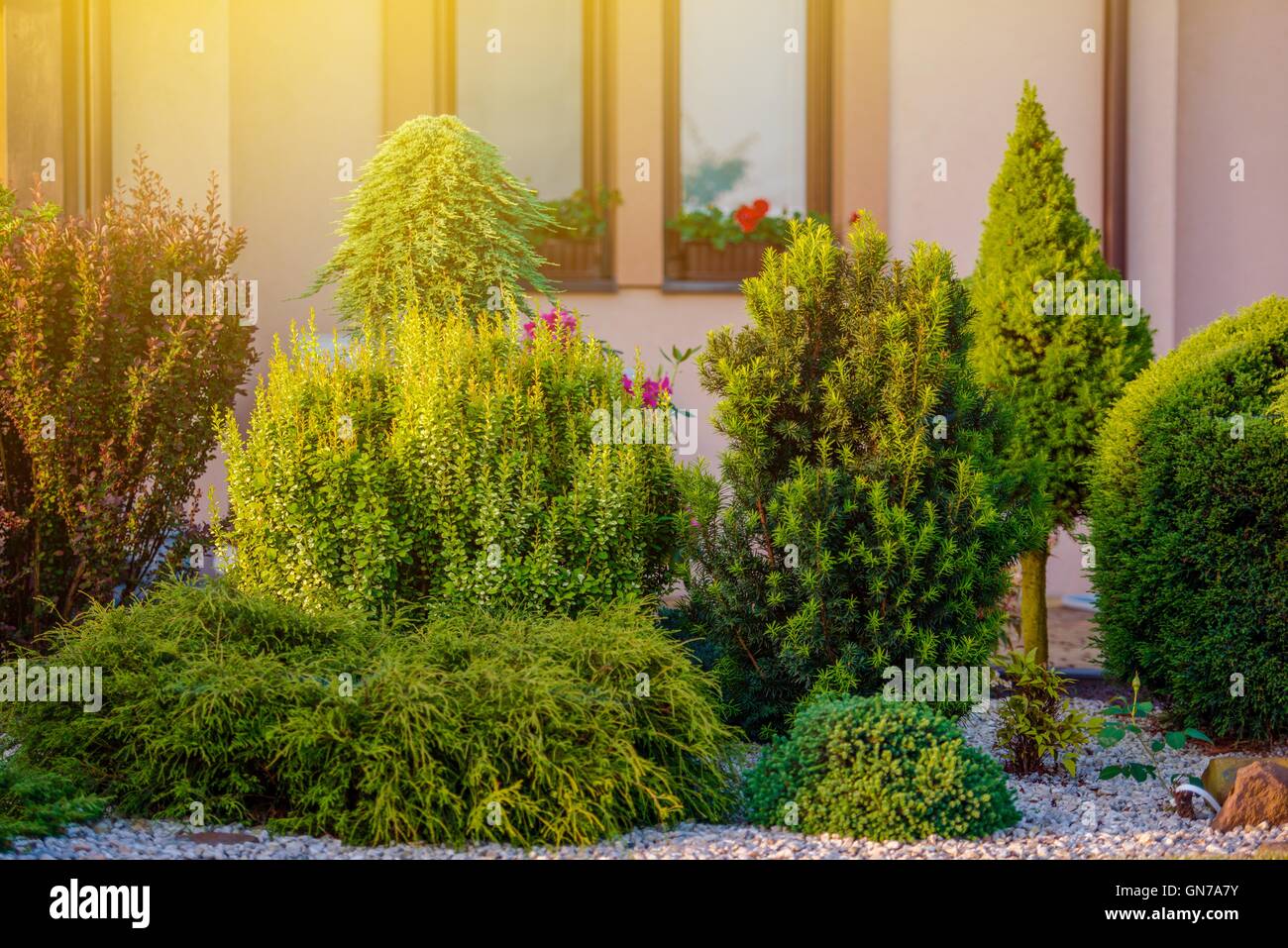 Beautiful Home Garden. Rockery Garden in Front of the House Stock Photo ...