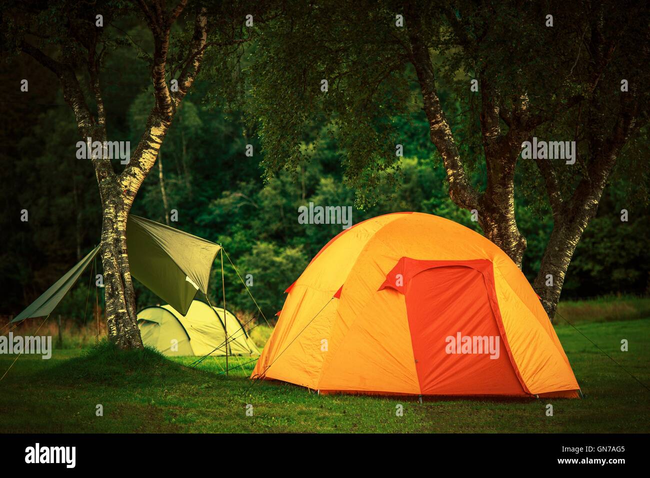 Small Orange Tent Camping. Wilderness Camping Theme. Campground Place. Stock Photo