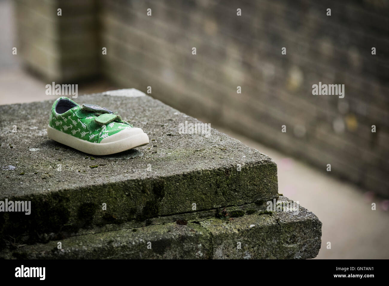 A lost shoe. Stock Photo