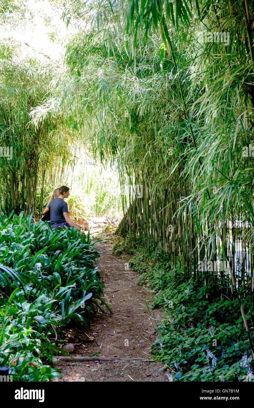 Couple sitting in contemplation in Stellenbosch University Botanical Garden, South Africa Stock Photo