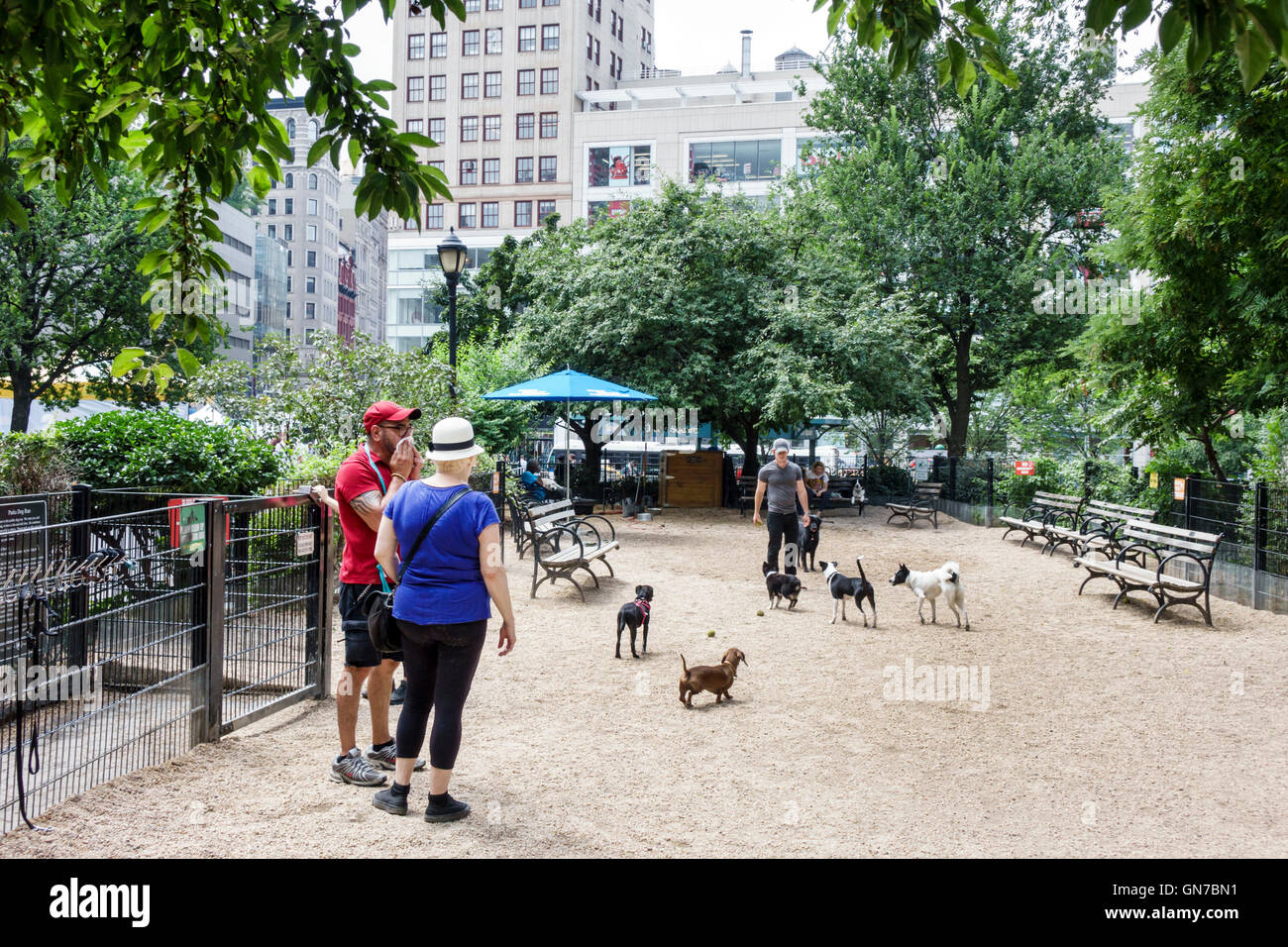 New York City,NY NYC Manhattan,Midtown,Union Square Park,public park
