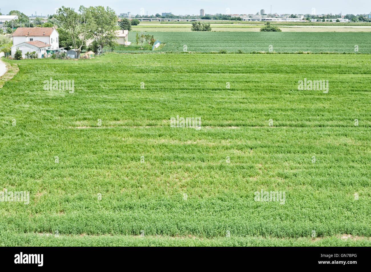Countryhouse with a big field, north of Italy Stock Photo