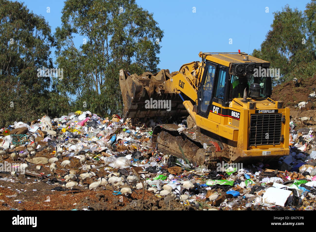 A Caterpillar 963C bulldozer pushes trash rubbish at a tip - or waste management facility - in NSW, Australia. Stock Photo