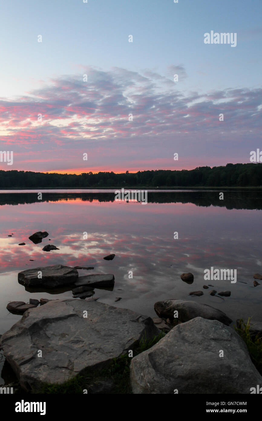 Pickerel hires stock photography and images Alamy