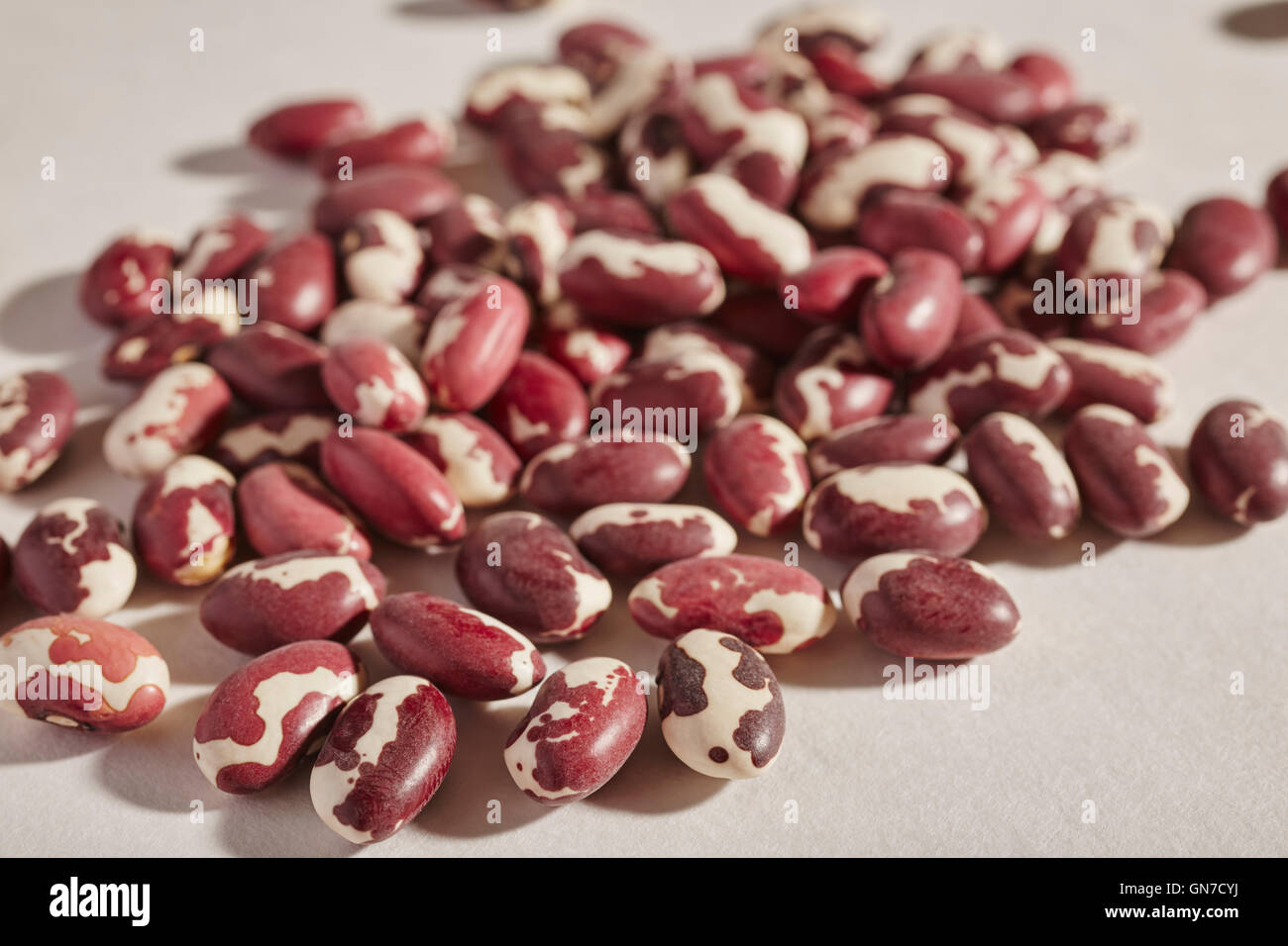 dried Anasazi beans, a traditional Native American food from Arizona, USA Stock Photo