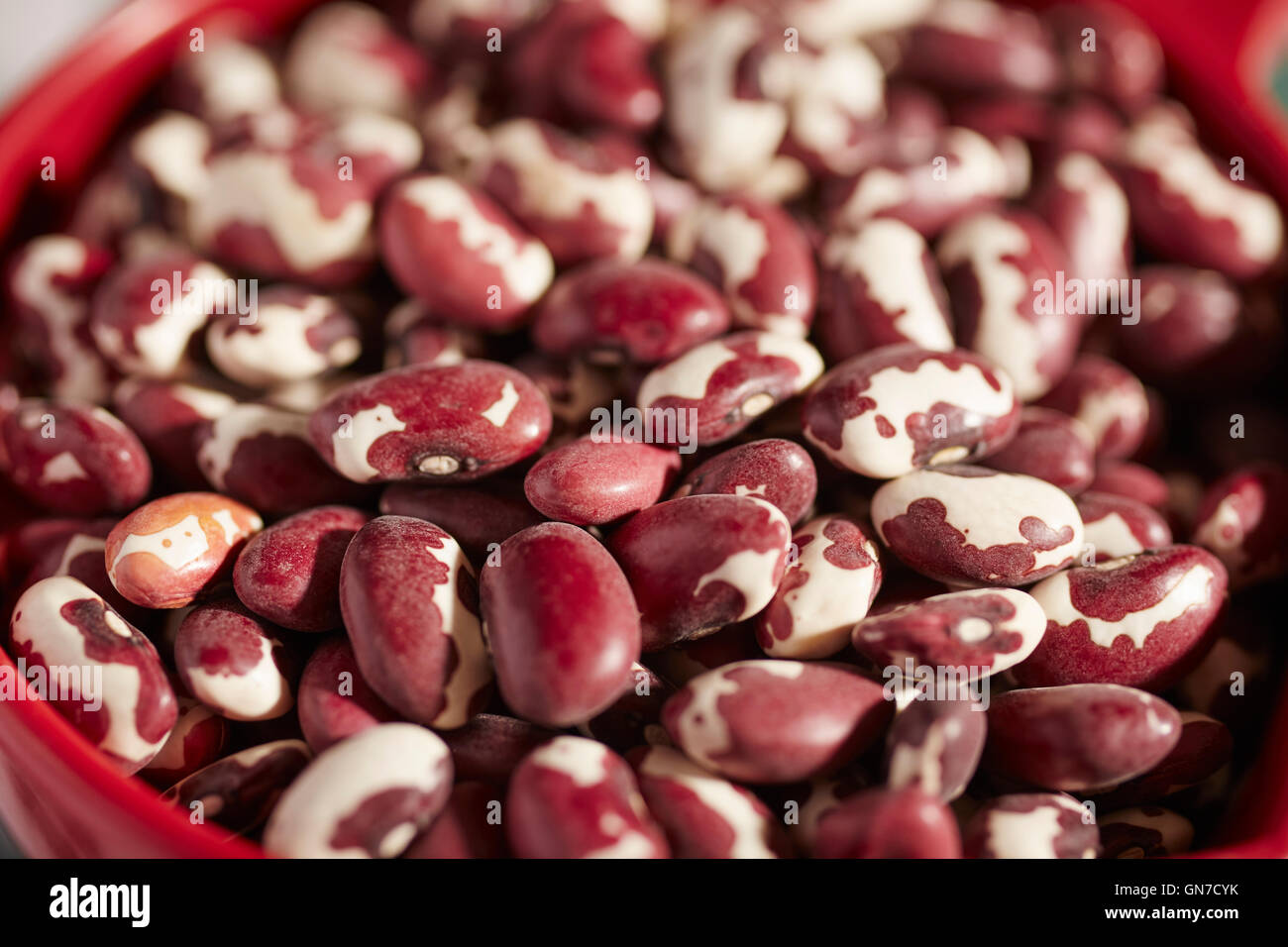 dried Anasazi beans, a traditional Native American food from Arizona, USA Stock Photo